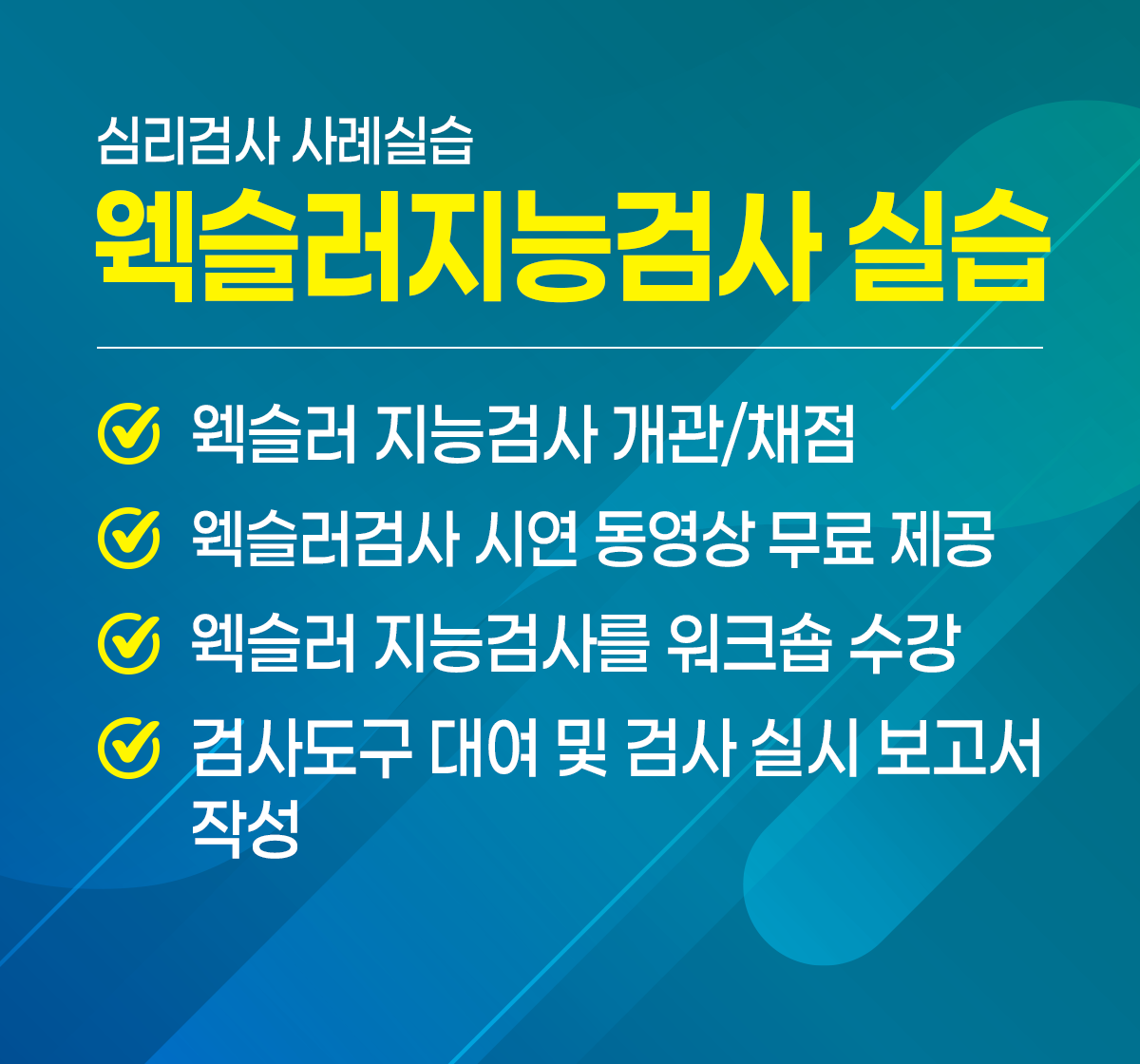 웩슬러지능검사 실습